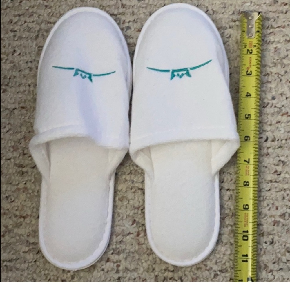 Moon palace cancun Mexico new slippers phish sealed